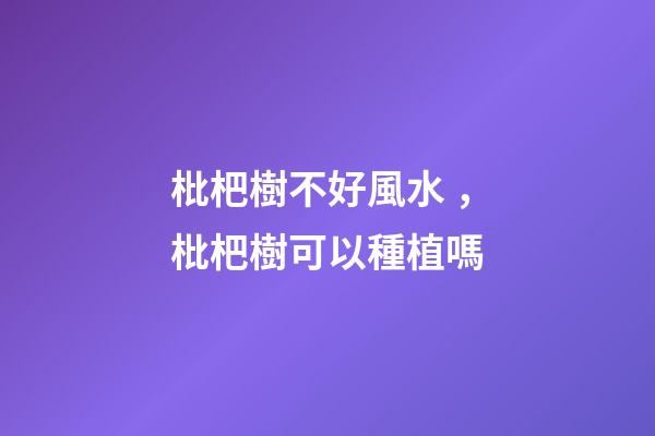 枇杷樹不好風水，枇杷樹可以種植嗎